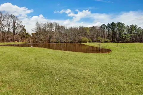 161 Thomasville Rd, Florence, MS 39073 photo 43