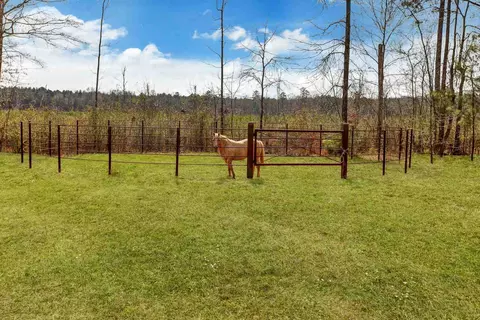 161 Thomasville Rd, Florence, MS 39073 photo 40