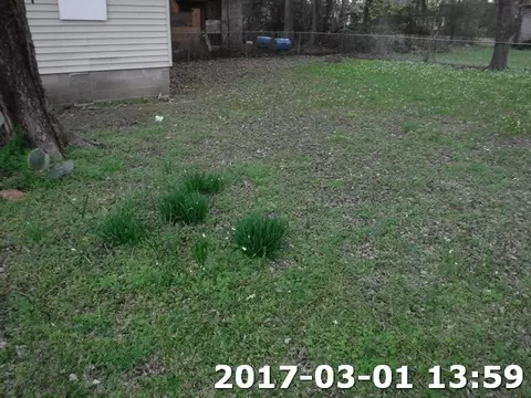 1310 Florence Ave, Jackson, MS 39204 photo 6