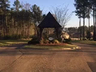 100 Tail Feather Dr, Madison, MS 39110 photo 30