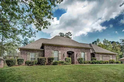 201 Pullman Cv, Brandon, MS 39042 photo 1