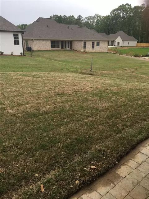 113 Wingspan Way, Madison, MS 39110 photo 34