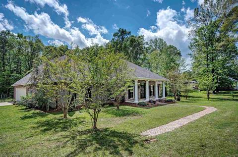 320 Wild Rose Ln, Brandon, MS 39047 photo 38