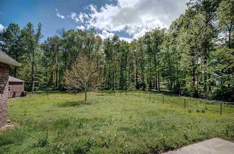 320 Wild Rose Ln, Brandon, MS 39047 photo 32