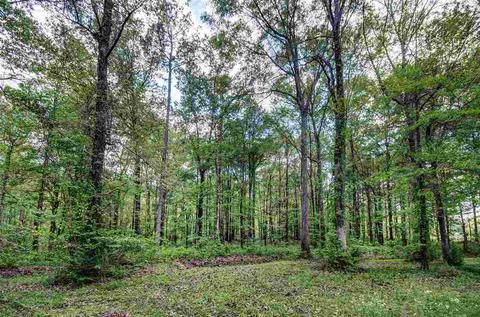 320 Wild Rose Ln, Brandon, MS 39047 photo 36