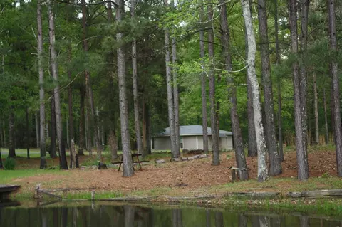 155 Pole Bridge Dr, Brandon, MS 39042 photo 29