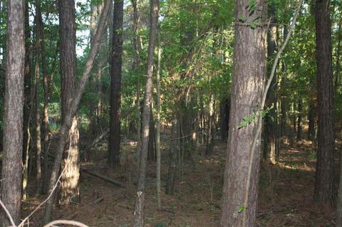 738 E Harper St, Richland, MS 39218 photo 7