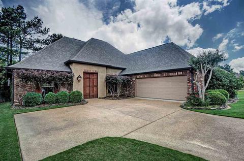 121 Brierfield Dr, Madison, MS 39110 photo 24