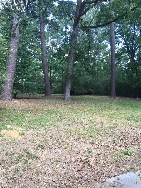 2320 Mcdowell Rd, Jackson, MS 39204 photo 5
