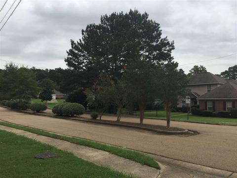 108 Brighton, Clinton, MS 39056 photo 10