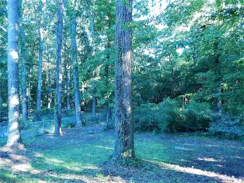 551 Rusk Dr, Brandon, MS 39047 photo 3