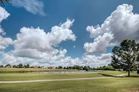 107 Links Cv, Madison, MS 39110 photo 34