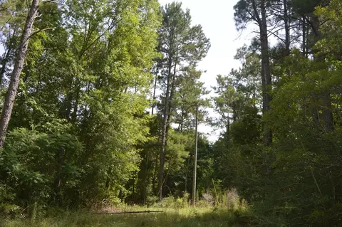 2067 Archie Boyd Rd, Jayess, MS 39641 photo 6