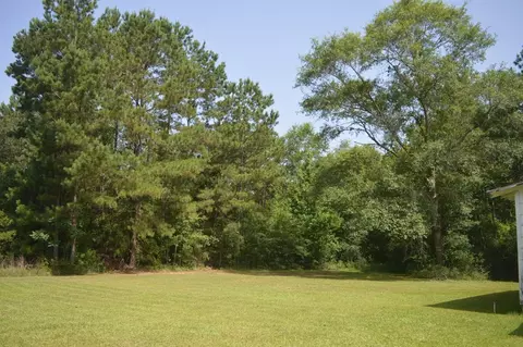 2067 Archie Boyd Rd, Jayess, MS 39641 photo 3