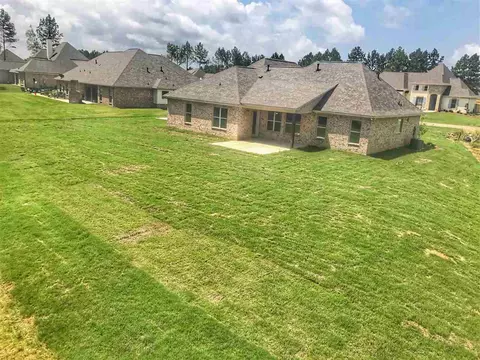 176 Saddle Brook Cv, Madison, MS 39110 photo 4