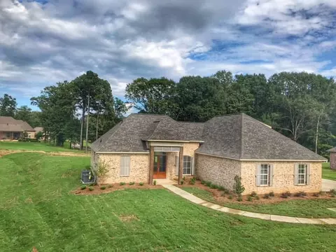 176 Saddle Brook Cv, Madison, MS 39110 photo 1