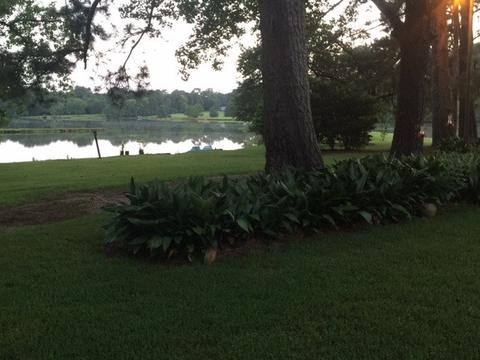755 Mccluer Rd, Jackson, MS 39212 photo 5