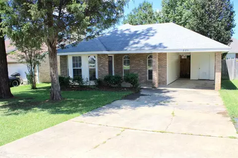 225 Sunchase Dr, Brandon, MS 39042 photo 1