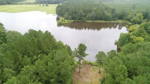950 Springwater Ranch Rd, Brandon, MS 39042 photo 3