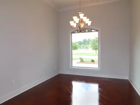202 Duclair Ct, Brandon, MS 39042 photo 3