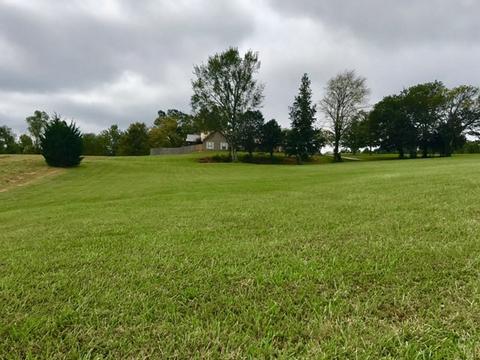 1925 Joe Hall Rd, Flora, MS 39071 photo 9