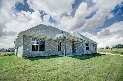 359 Emerald Way, Brandon, MS 39047 photo 39