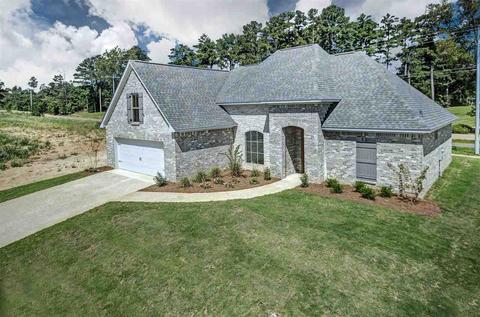 359 Emerald Way, Brandon, MS 39047 photo 2
