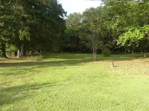 1358 N Old Canton Rd, Canton, MS 39046 photo 15