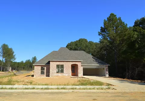 100 Hampton Ln, Madison, MS 39110 photo 1
