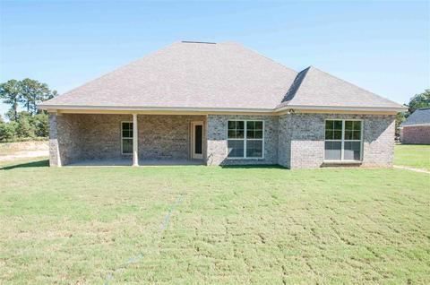 110 Ashley Park Dr, Byram, MS 39272 photo 28