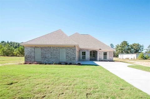 110 Ashley Park Dr, Byram, MS 39272 photo 1