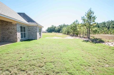 110 Ashley Park Dr, Byram, MS 39272 photo 29