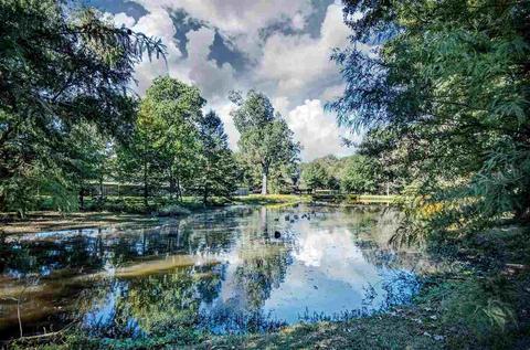 103 Willowood Cv, Madison, MS 39110 photo 46