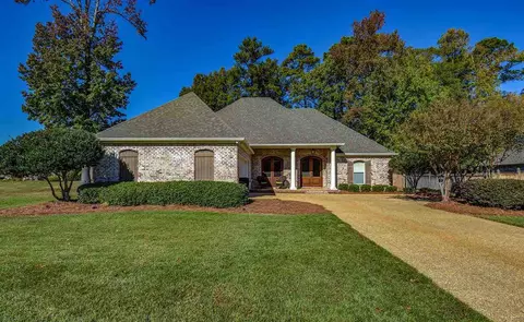 217 Lighthouse Ln, Brandon, MS 39047 photo 1