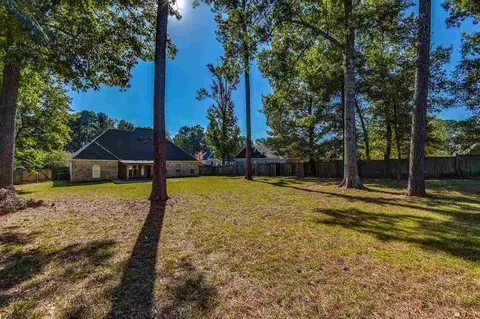 217 Lighthouse Ln, Brandon, MS 39047 photo 36