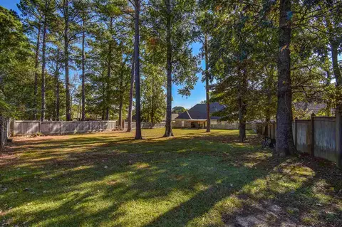 217 Lighthouse Ln, Brandon, MS 39047 photo 38