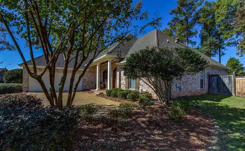 217 Lighthouse Ln, Brandon, MS 39047 photo 6