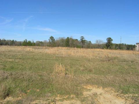 0 Clinton Industrial Park Rd #METES & BOUNDS, Clinton, MS 39056