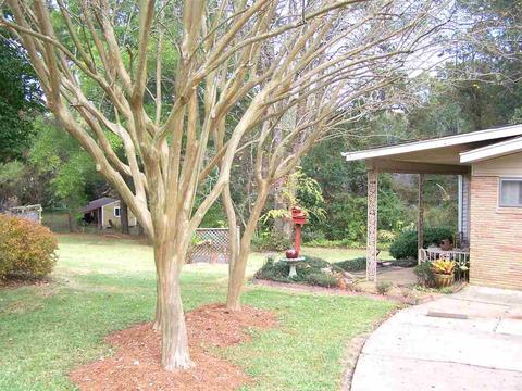 100 Hillcrest Dr, Clinton, MS 39056 photo 8