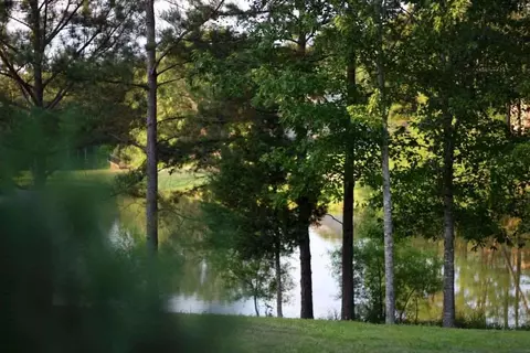 129 Viewpointe Dr, Clinton, MS 39056 photo 34