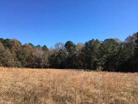 20655 Highway 27, Utica, MS 39175 photo 30
