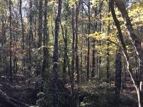 20655 Highway 27, Utica, MS 39175 photo 33