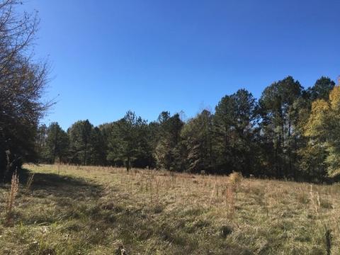 20655 Highway 27, Utica, MS 39175 photo 25