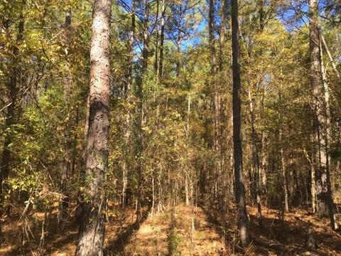 20655 Highway 27, Utica, MS 39175 photo 34