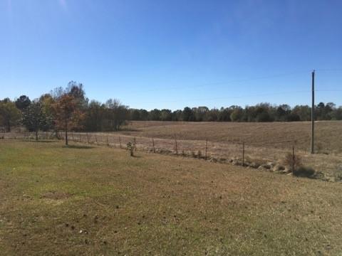 20655 Highway 27, Utica, MS 39175 photo 28
