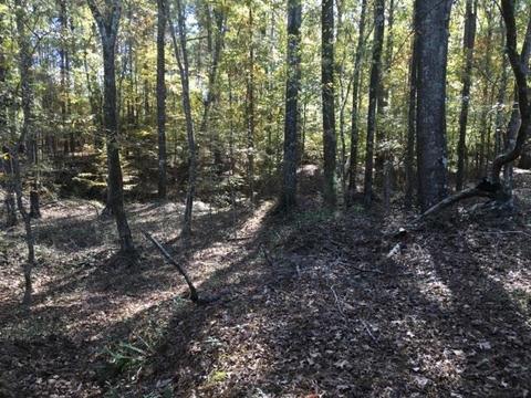 20655 Highway 27, Utica, MS 39175 photo 36