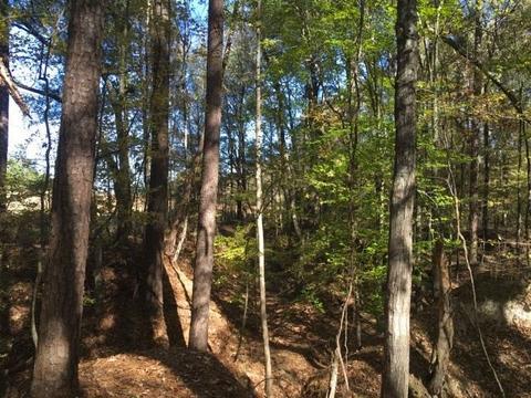 20655 Highway 27, Utica, MS 39175 photo 38