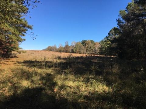 20655 Highway 27, Utica, MS 39175 photo 24