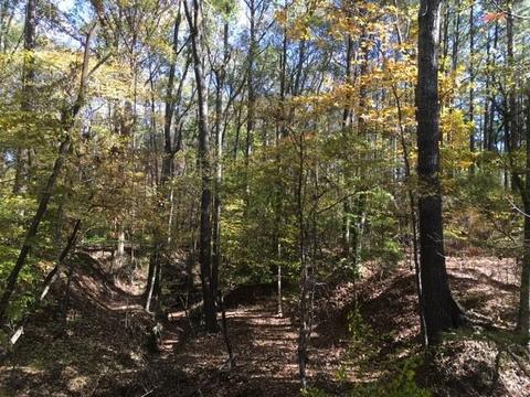 20655 Highway 27, Utica, MS 39175 photo 39