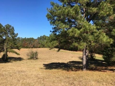 20655 Highway 27, Utica, MS 39175 photo 29